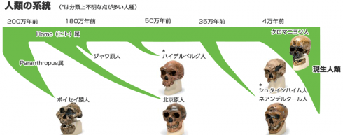 dendrogram-l-910x360.png